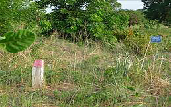   L’obtention de L’ADC