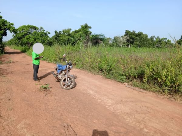 terre-agricole-bien-situee-a-djidja